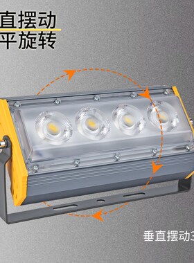 LED户外投光灯投射灯泛光灯50W照树射树灯草坪景观楼体单色彩色灯