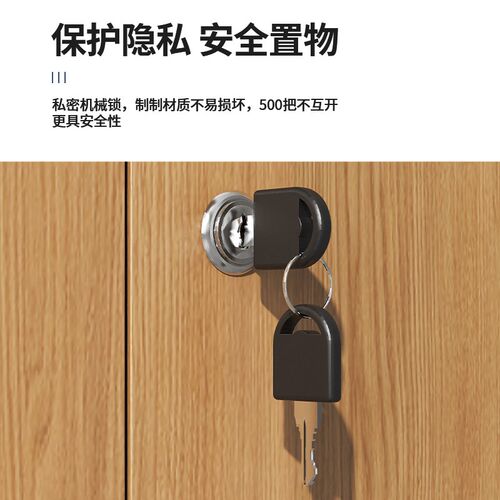 文件柜铁皮柜资料财务木纹铁二斗储物带锁钢制办公室凭证柜档案柜
