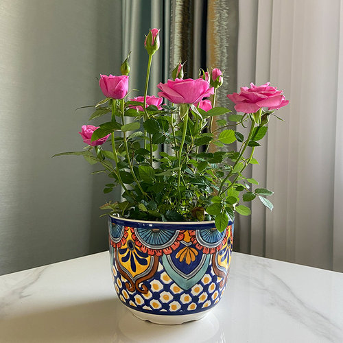 特色陶瓷水培花盆 花盆绿植鲜花套盆无孔 桌面阳台摆件装饰套三