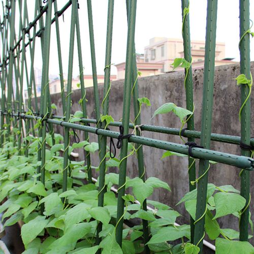 园艺花架爬藤架阳台庭院植物固定支架支撑杆黄瓜葡萄架爬藤杆牵引