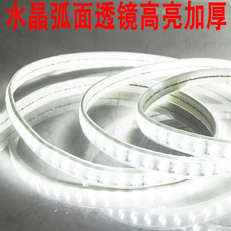 灯带led工程亮化照明工地养殖园林装饰100米一卷220v白光暖光灯条