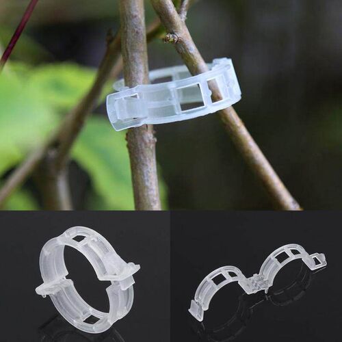 Plastic Plant Support Clips 50/100Pcs Vine Tomato Stem Veget