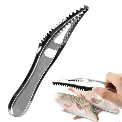 Stainless Steel Fish Scale Remover Cleaner Kitchen Fish