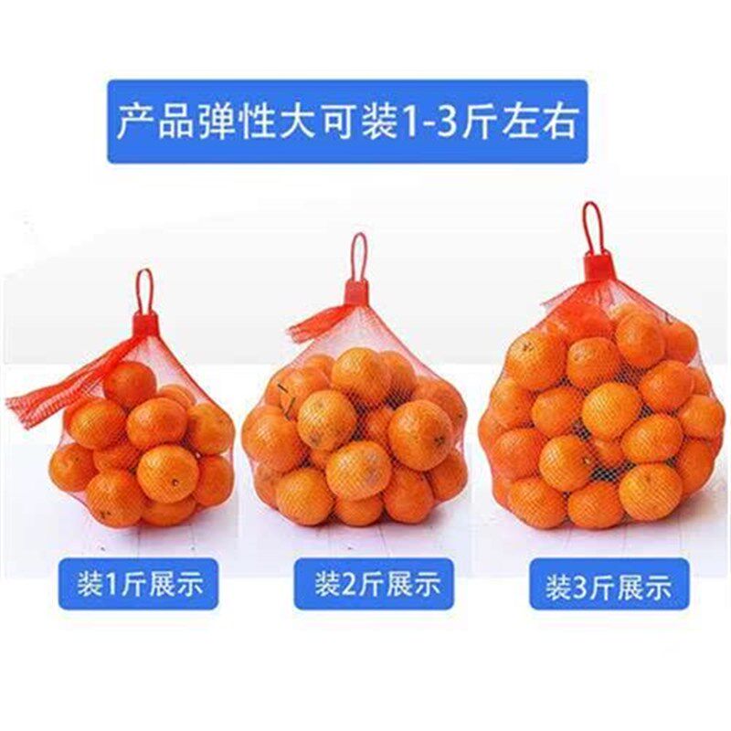 装龙眼网袋子桂圆网兜水果包装网袋小网眼塑料尼龙加密编织袋