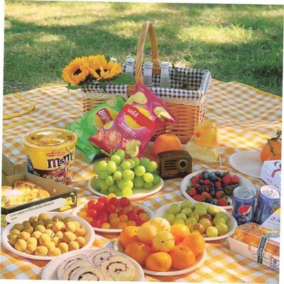 Outdoor Thicken Pad Blanket Camping Beach Plaid Picnic Mat
