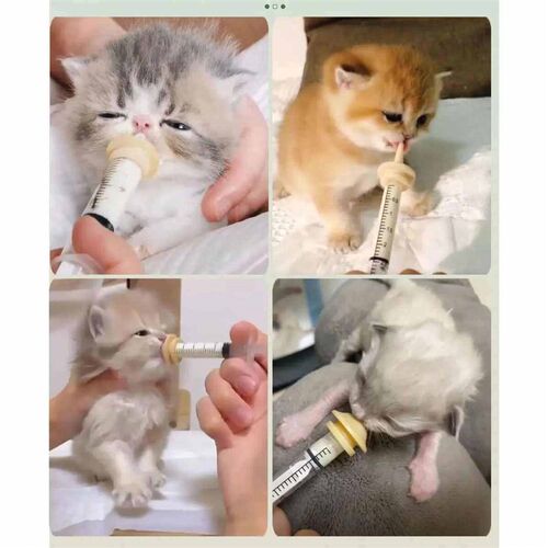 Newborn Pet Feeding Nipple Dog Cat Feeding Pacifier Hamster