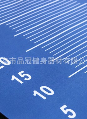 Midterm PVC Long Jump Mat Home Long Jump Tester Thick Antisl