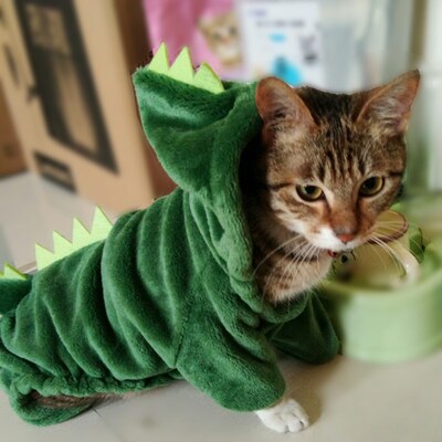 Funny Dinosaur Pet Cat Costume Halloween Cat Clothes for Sma