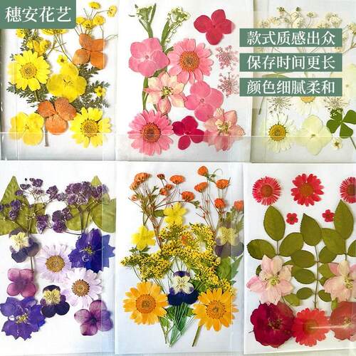 Strictly Selected Dry Flower Embossed Diy Material Package I