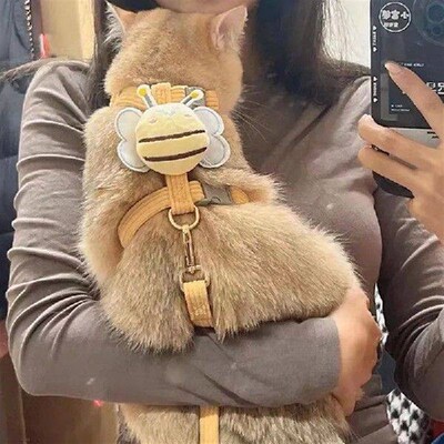 Cat Harness & Leash Set, Cats Escape Proof - Cute Bee Plaid