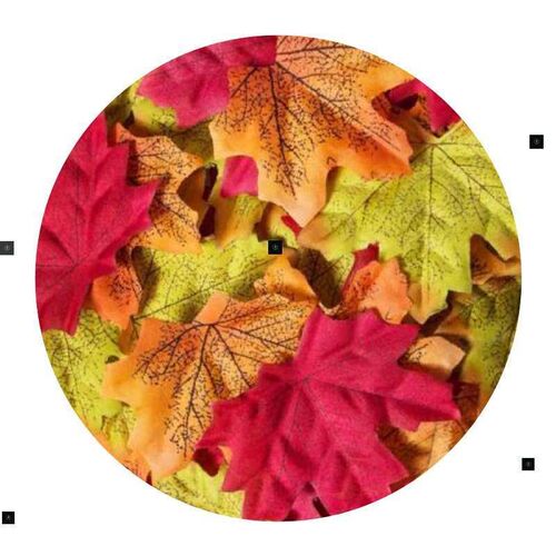 500pcs Silk Maple Leaf Thanksgiving Days Wedding Prop D