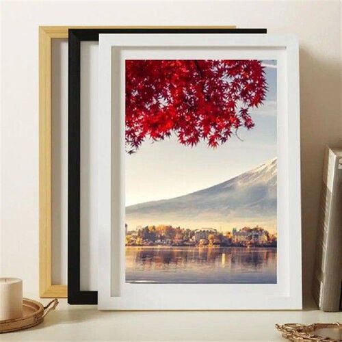 Certificate Frame Dust-proof Frame Elegant A4 Photo Frame