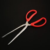 Clip Loach Pliers Crab slip albus Non Eel Monopterus