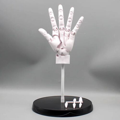 37cm Human Hand Model With Movable Finger Joints  Simulation