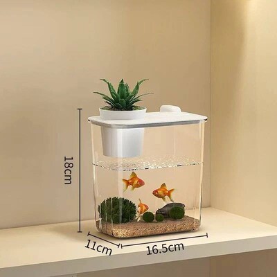 Mini Fish Tank Aquarium Starter Desktop Rectangular Fish Tan