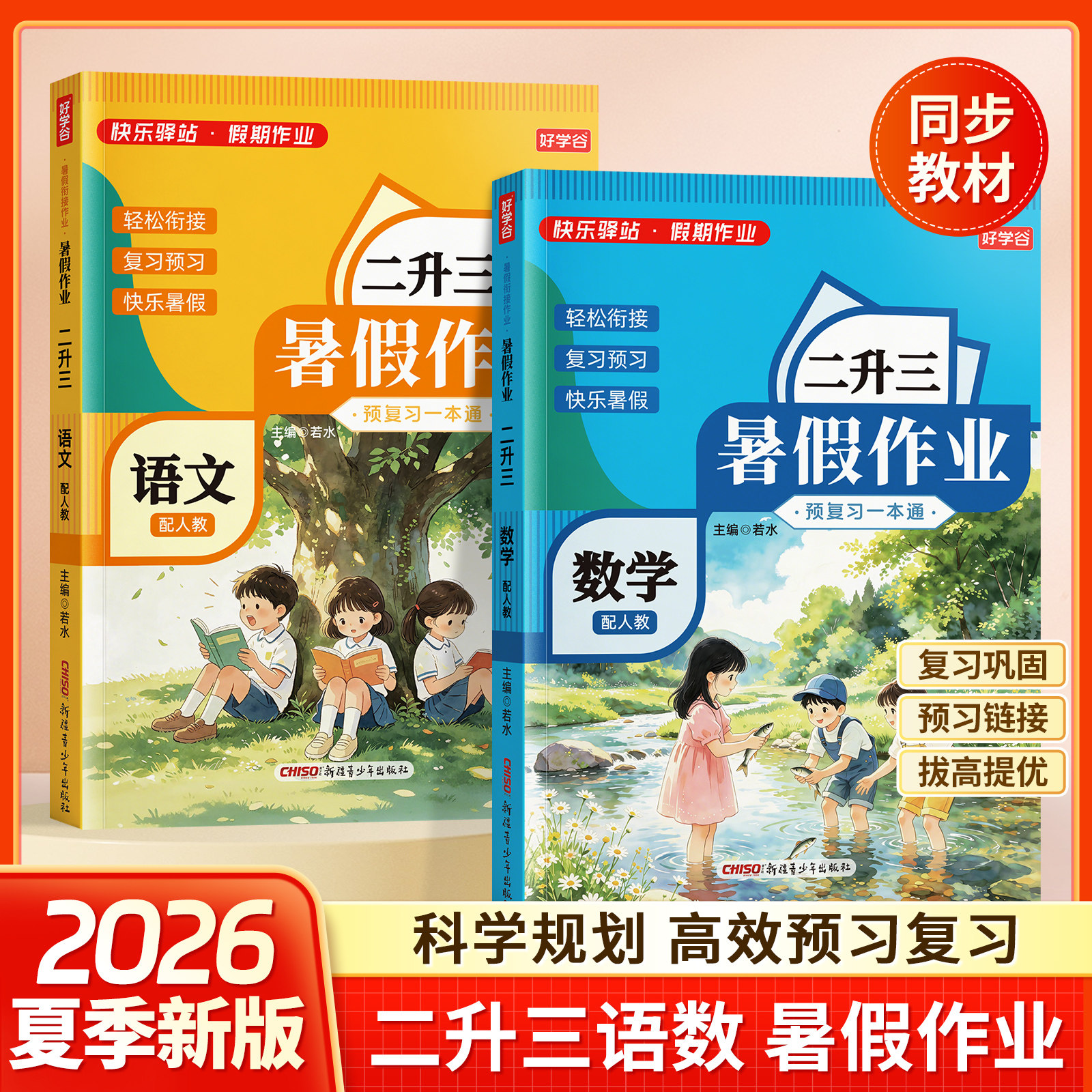 二年级升三年级暑假作业专项练习