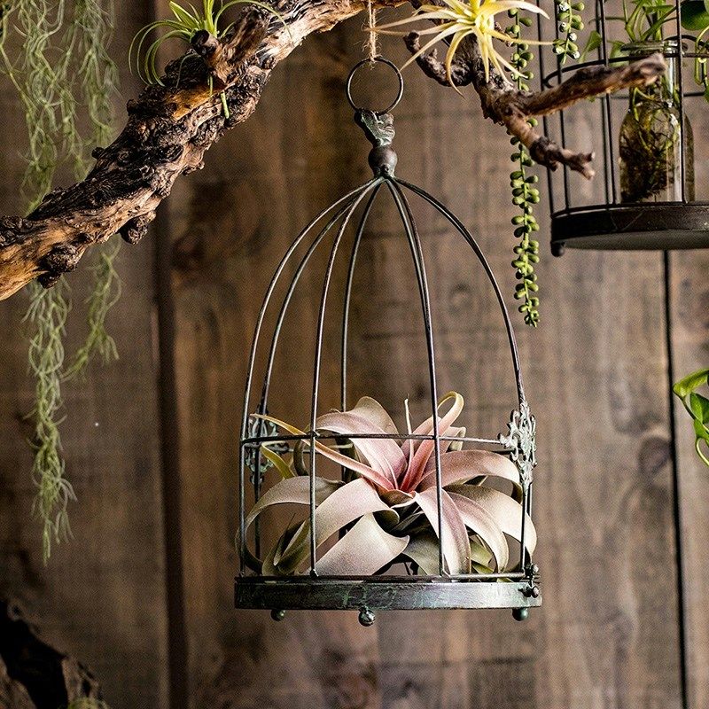 掬涵欧式铁艺装饰鸟笼花器摆件烛台插花吊兰花盆复古悬挂橱窗道具,鲜花速递/花卉仿真/绿植园艺,花篮,淘宝优惠券,粉丝福利购,淘宝优惠卷