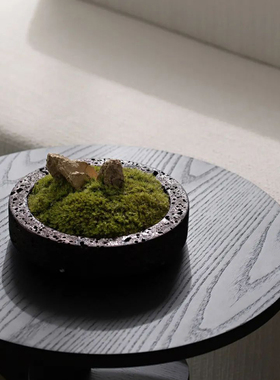 样板间售楼部洽谈桌装饰花艺书房书架卧室床头柜成品花艺绿植摆件