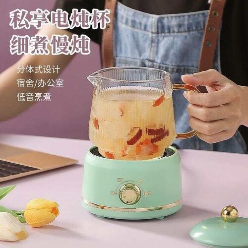 600ml Multifunctional Mini Health Pot Electric Stew Cup Tea