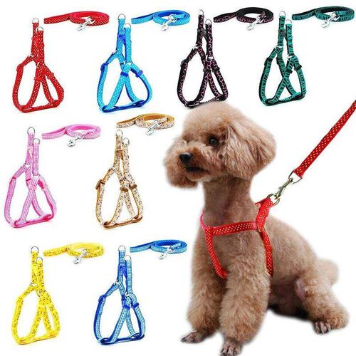 Small Dog Cat Harness Leash Vest Collar Puppy Outdoor Walkin