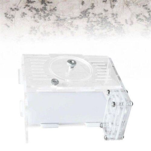 DIY ANT Farm Antkeeping Tool Emmet Farm Colony Educational