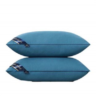 Pillow Healthy pillows feather velvet hotel pillow for bed