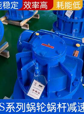 机TS20-31.50-1F-Z减速机涡轮TPS200-3蜗轮蜗杆减速平面P二次包络