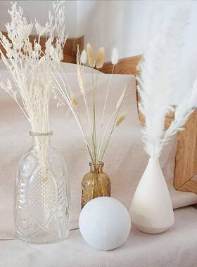 蒲063苇小苇干干花兔尾草小拂尘组合花束花插花摆草芦件