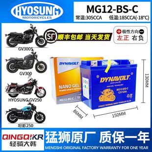 轻骑大韩晓星GV300 GV300S坦影250 GV250 GV650 U侠大脚怪黑7电瓶