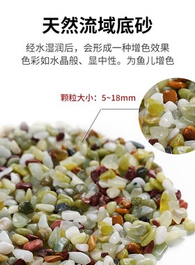 五彩石鱼缸底砂天然造景石盆栽铺底多肉植物铺面雨花石装饰小石头