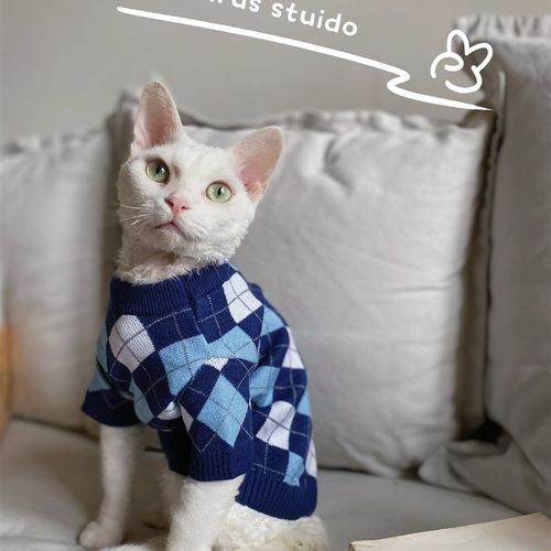 春秋斯芬克斯无毛猫德文衣服阿比西尼亚猫格子针织衫猫咪狗狗外套