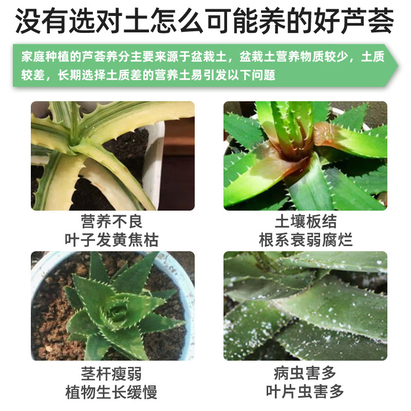 种养芦荟专用土营养土盆栽土壤花土疏松透气培植土泥土种植土肥料,鲜花速递/花卉仿真/绿植园艺,介质/营养土,淘宝优惠券,粉丝福利购,淘宝优惠卷