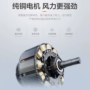 隐形风扇灯吊扇灯48寸客厅餐厅卧室吸顶吊扇带电风扇吊灯家用变频