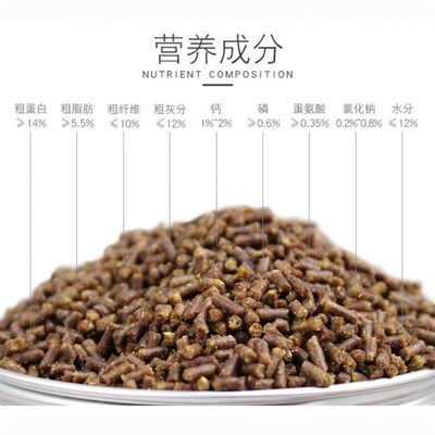 八哥鹩哥乌鸫鸟百舌鸟喜鹊山鸦鸟鸟粮饲料