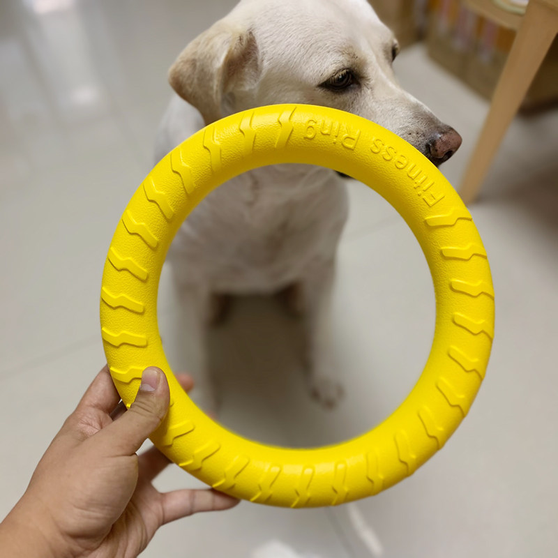 宠物玩具耐咬幼犬磨牙互动圆环咬胶球金毛拉布拉多中大型犬狗用品,宠物/宠物食品及用品,橡胶球/球形玩具,淘宝优惠券,粉丝福利购,淘宝优惠卷