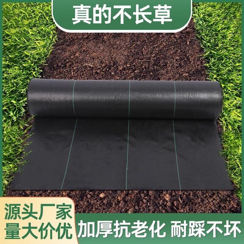 防草布除草布耐用地布农用果园果树遮草抑草盖草布抗老化透气透水