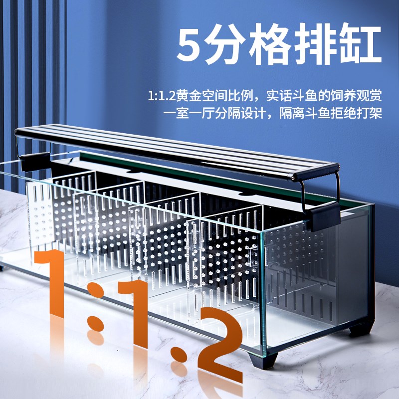 客厅小型鱼缸超白斗鱼缸玻璃多格隔离背滤免换水生态金鱼缸水族箱