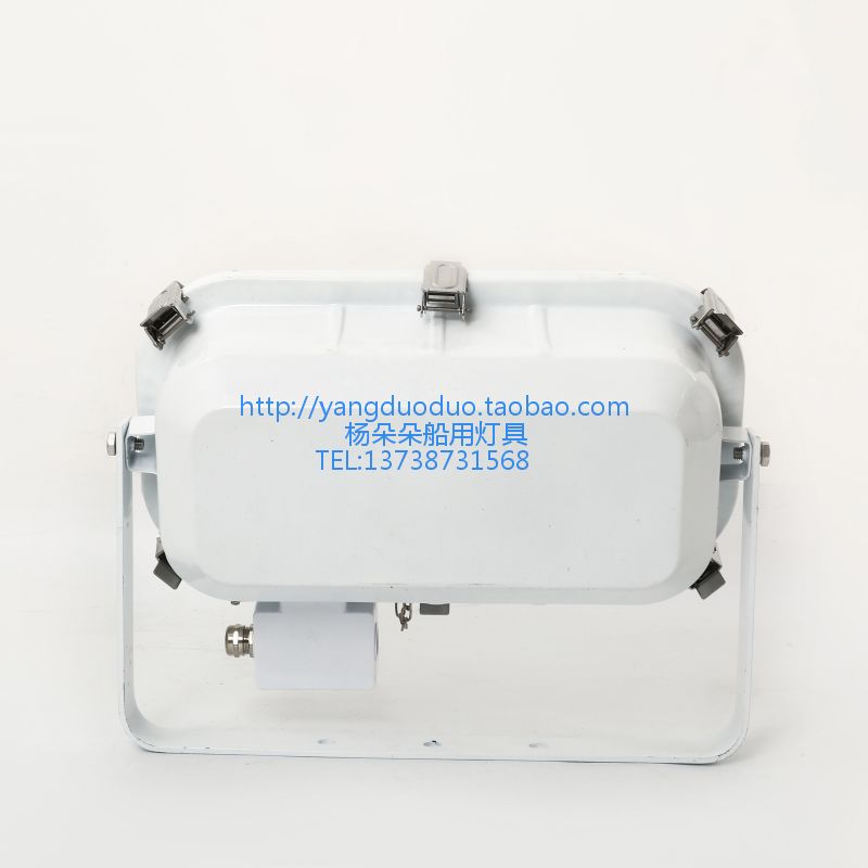 船用LED投光灯TG20-L不锈钢大功率投光探照灯强光50W100W矿场码头