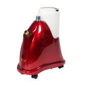 熨烫机 店用挂式 域桥挂烫机铜芯F1 X6小型家用蒸汽熨斗服装