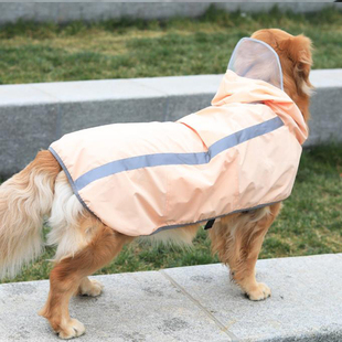 宠物狗雨衣 大中小型犬防水防风狗雨披 边境牧羊犬雪纳瑞泰迪连帽