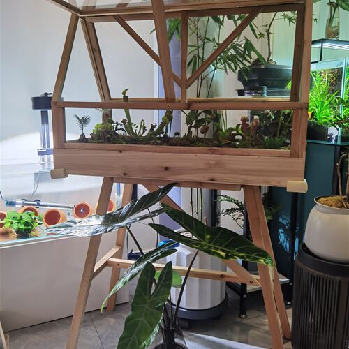 实木落地玻璃花房温室多肉植物阳光暖房防冻室内阳台花园复古花架