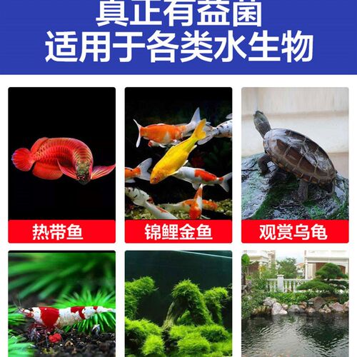 硝化细菌菌粮鱼缸专用净水剂水质稳定净化水族鱼乐宝养鱼龟缸用
