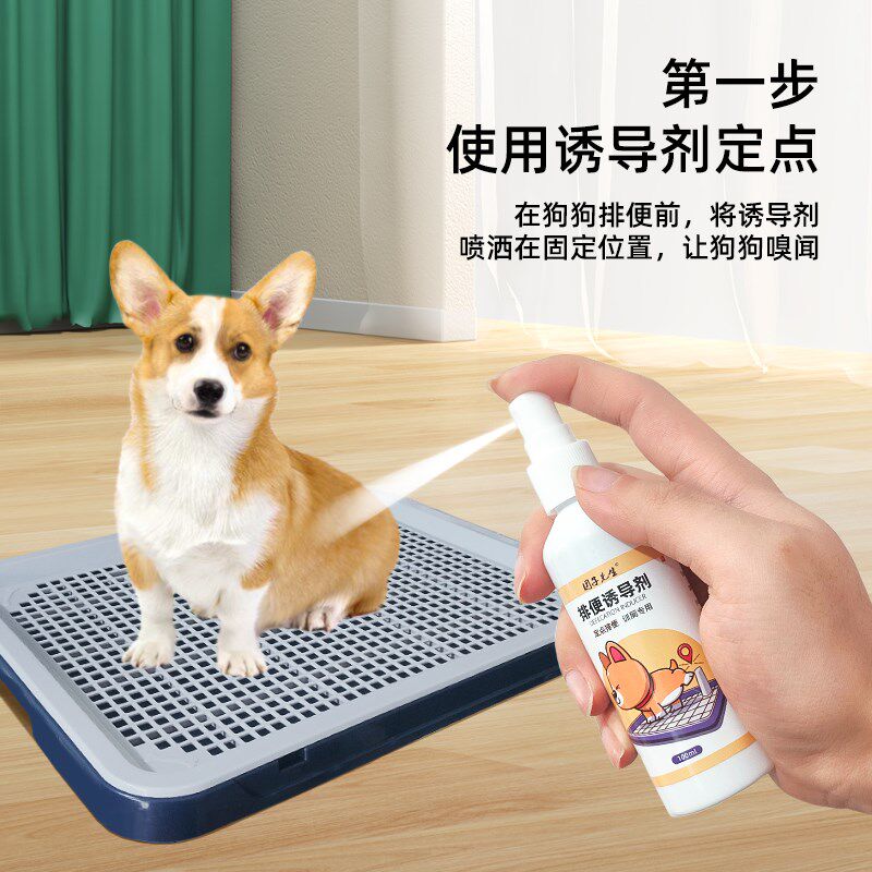 狗狗定点排便诱导剂狗大小便定位排便训厕液狗厕所诱导剂导尿剂