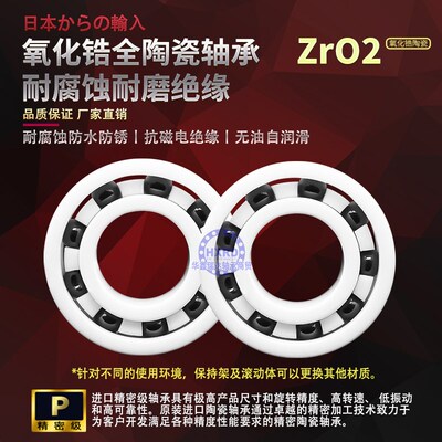 无油耐腐蚀防水全陶瓷轴承 6005 6006 6007 6008 6009 6010 CE SZ