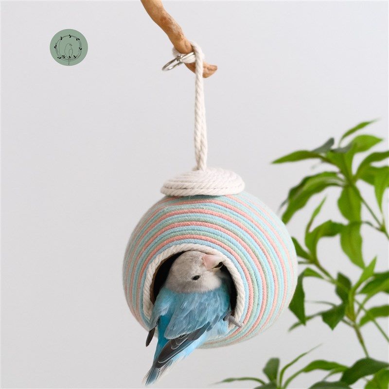 鹦鹉窝椰壳窝椰子壳鸟笼鸟窝牡丹虎皮夏季避暑挂窝小型鹦鹉用品,宠物/宠物食品及用品,鸟玩具,淘宝优惠券,粉丝福利购,淘宝优惠卷