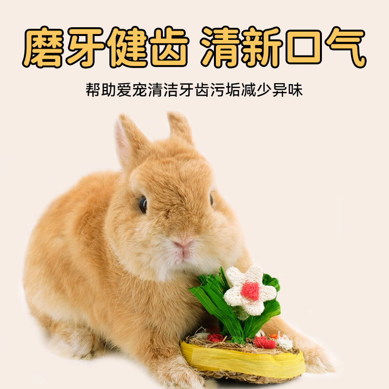 UMI磨牙花草蛋糕兔兔啃咬小零食粗纤维健康小宠装饰玩具豚鼠兔子,宠物/宠物食品及用品,兔兔其他,淘宝优惠券,粉丝福利购,淘宝优惠卷