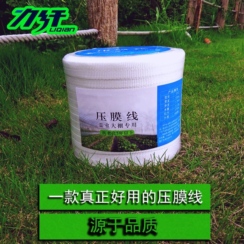 压膜线 D12 力纤高强度抗老化压膜线 压膜带 大棚绳 大棚配件