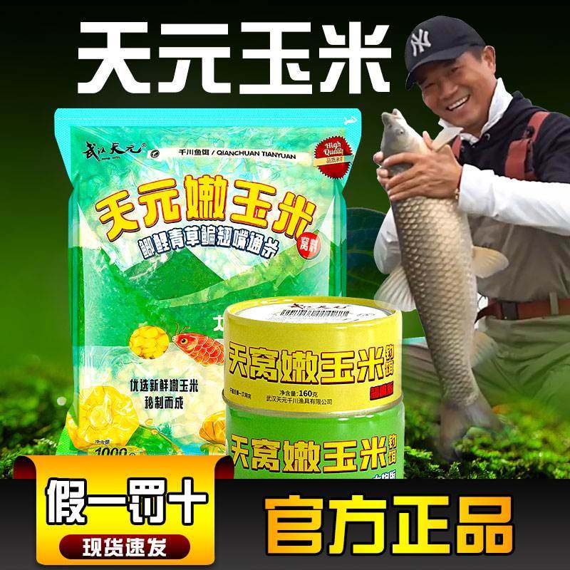 嫩玉米饵料鱼饵生鲜玉米粒鱼饵罐头钓鱼挂钩野钓饵翘嘴版天窝y,户外/登山/野营/旅行用品,台钓饵,淘宝优惠券,粉丝福利购,淘宝优惠卷