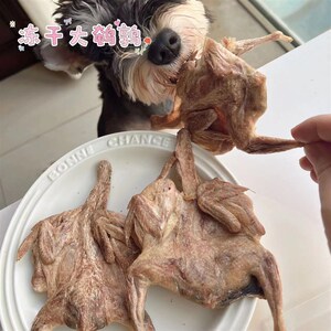 冻干大鹌鹑猫咪冻干零食狗狗冻干食品鹌鹑宠物冻干零食狗零食营养