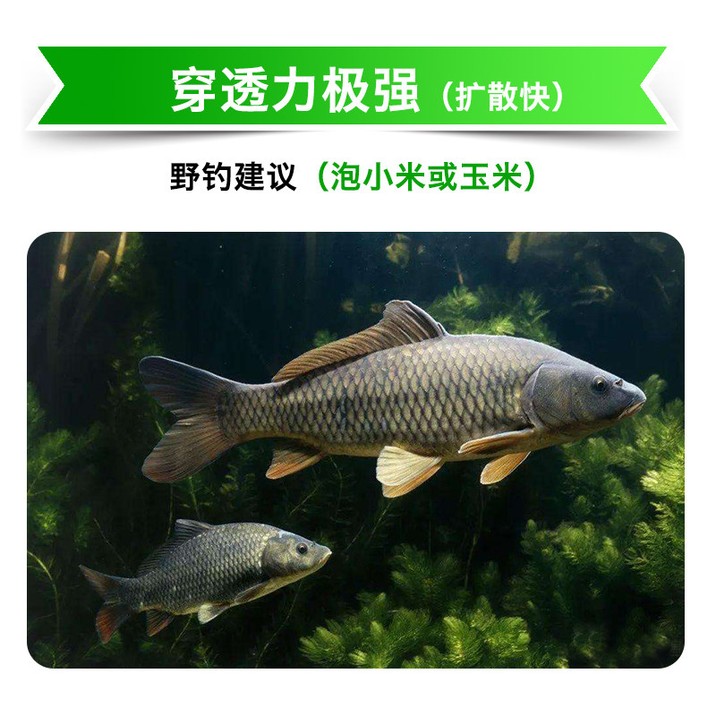 连圣浓缩纯果酸小药诱鱼剂钓鱼饵料添加剂黑坑鲤鱼回锅鱼野钓鲫鱼